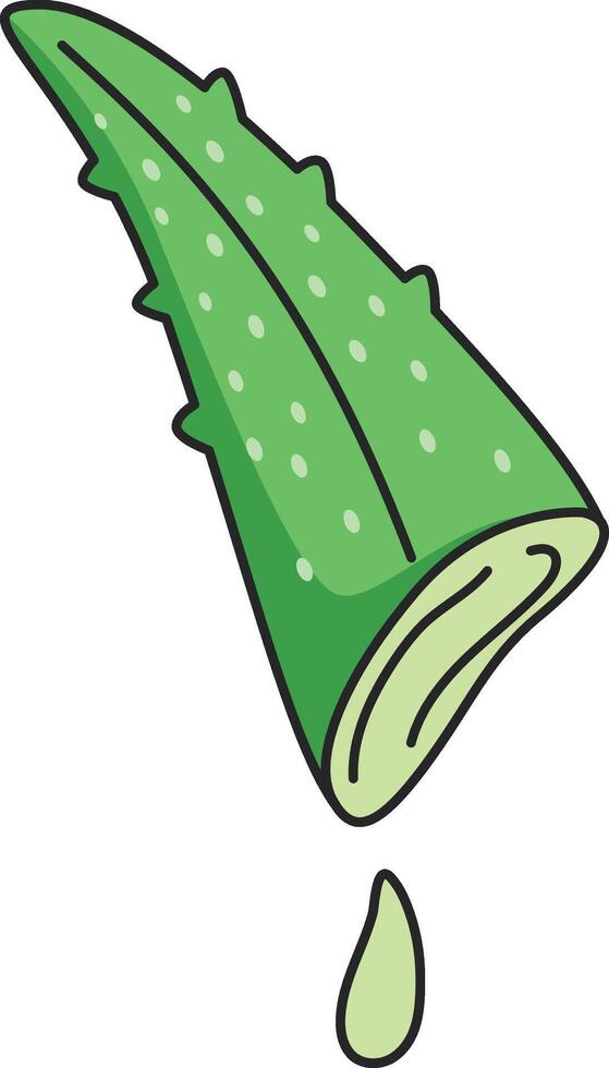 Aloe vera plant icon in cartoon style on a white background vector