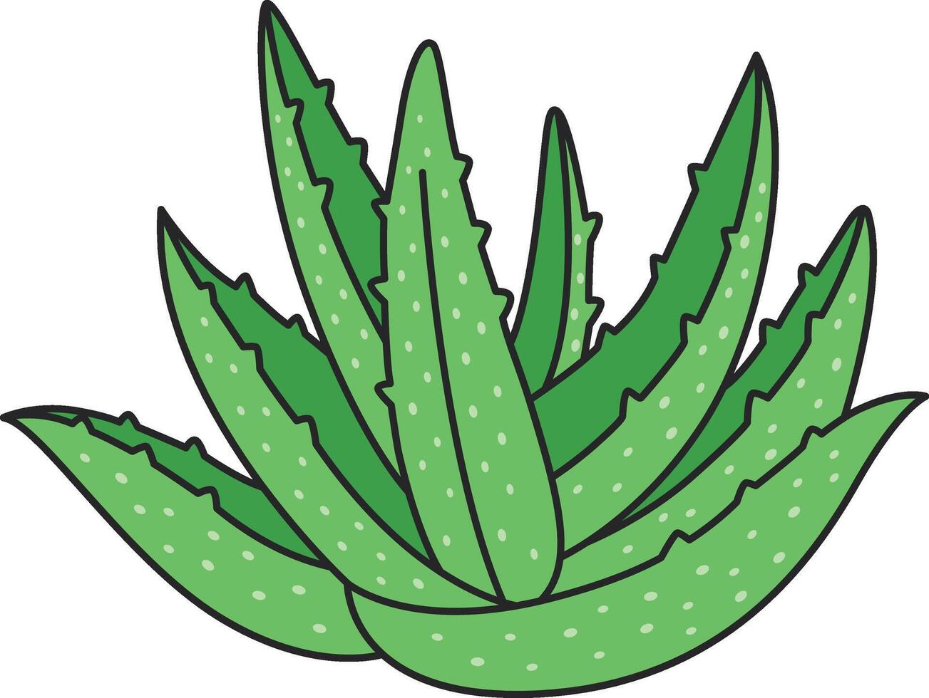 Aloe vera plant. Hand drawn vector illustration isolated on white background.