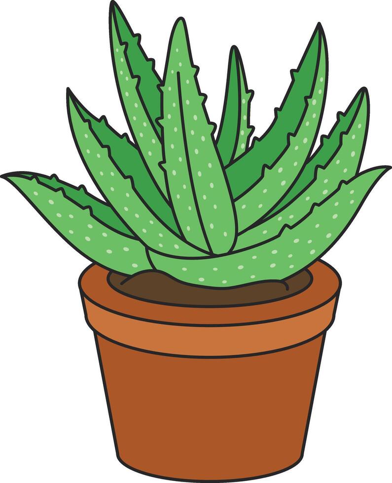 Aloe vera in pot isolated on white background. Hand drawn vector illustration.