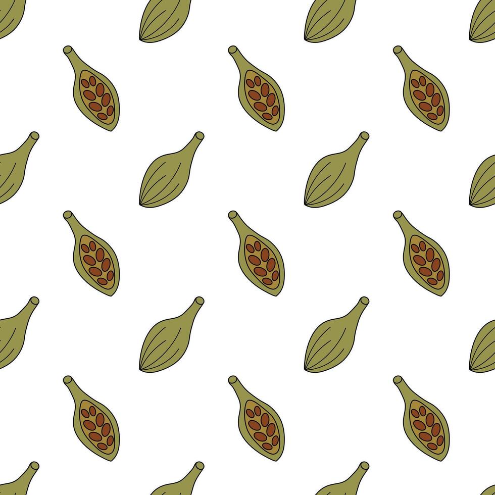 Seamless Pattern with Cardamom. Whole and half with seeds. Spice, condiment and herb background. Kitchen wallpaper. Vector flat illustration.