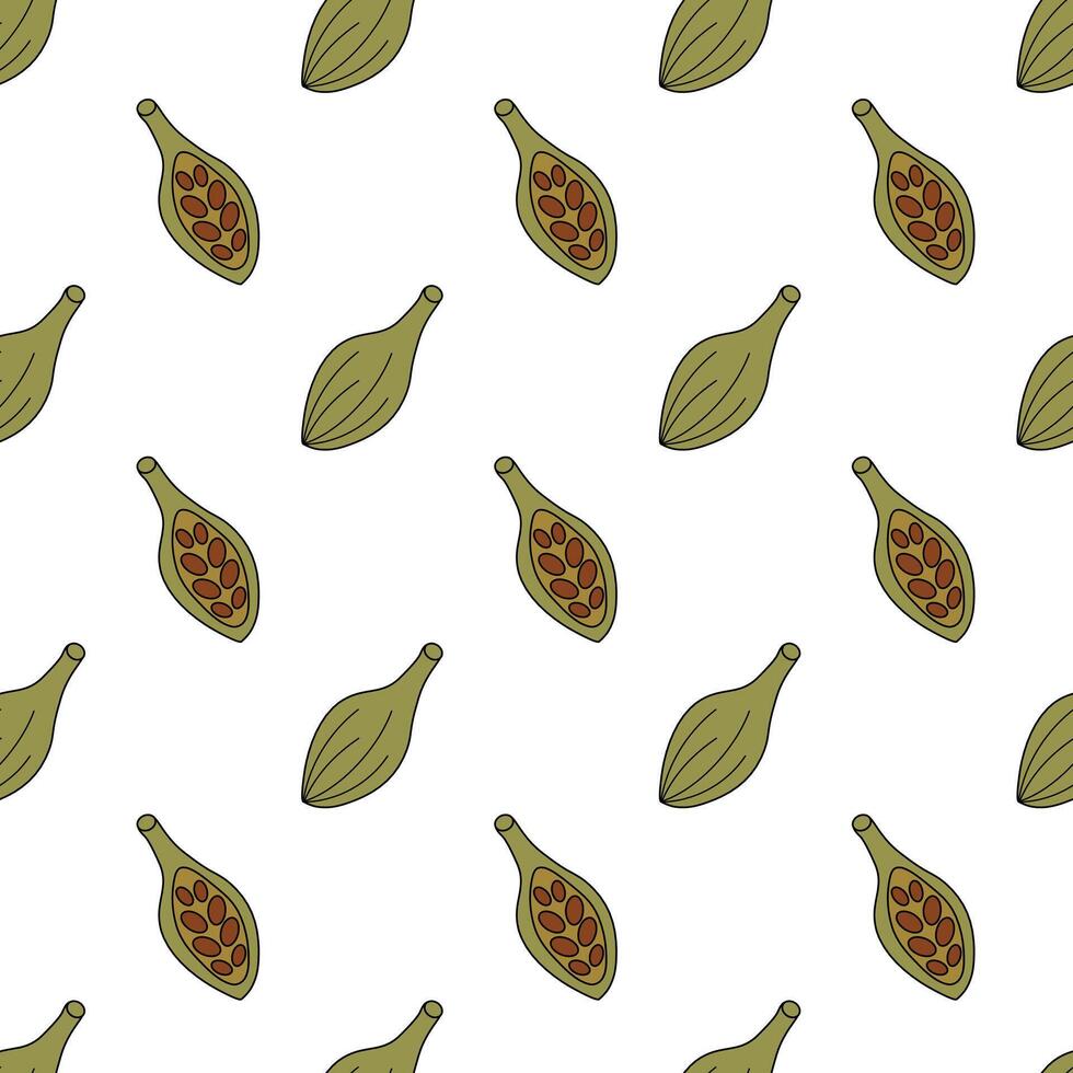 sin costura modelo con cardamomo. todo y medio con semillas especia, condimento y hierba antecedentes. cocina fondo de pantalla. vector plano ilustración.