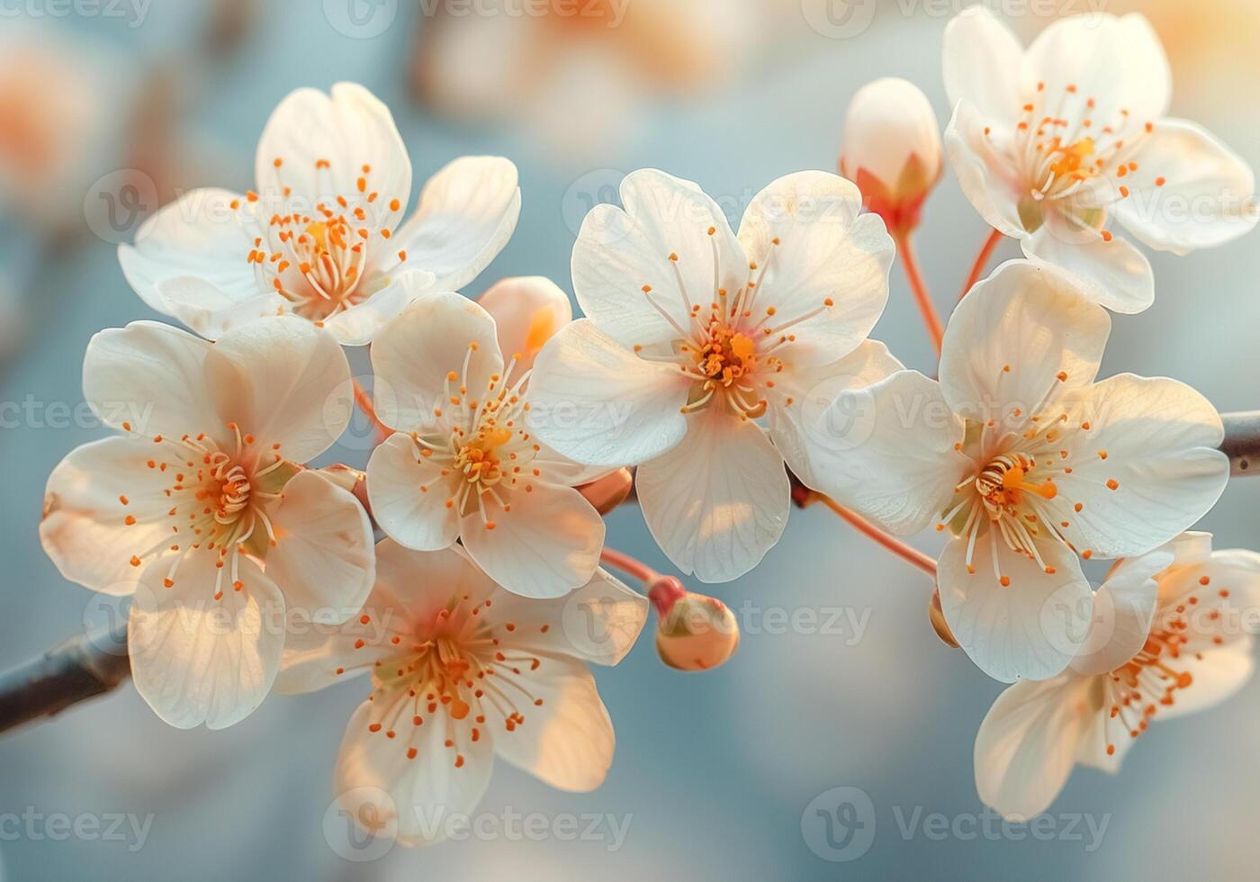 AI generated Sakura or Japanese cherry tree is considered the national flower of Japan. Culture and tradition. photo