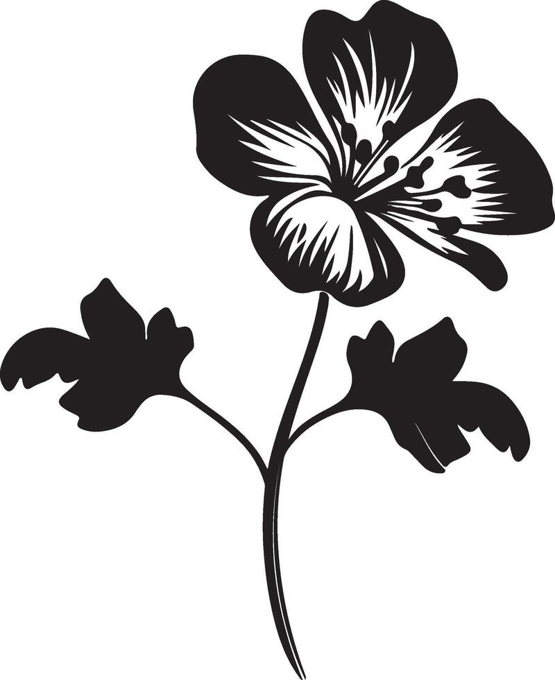 Geranium Flower Silhouette Vector Illustration White Background