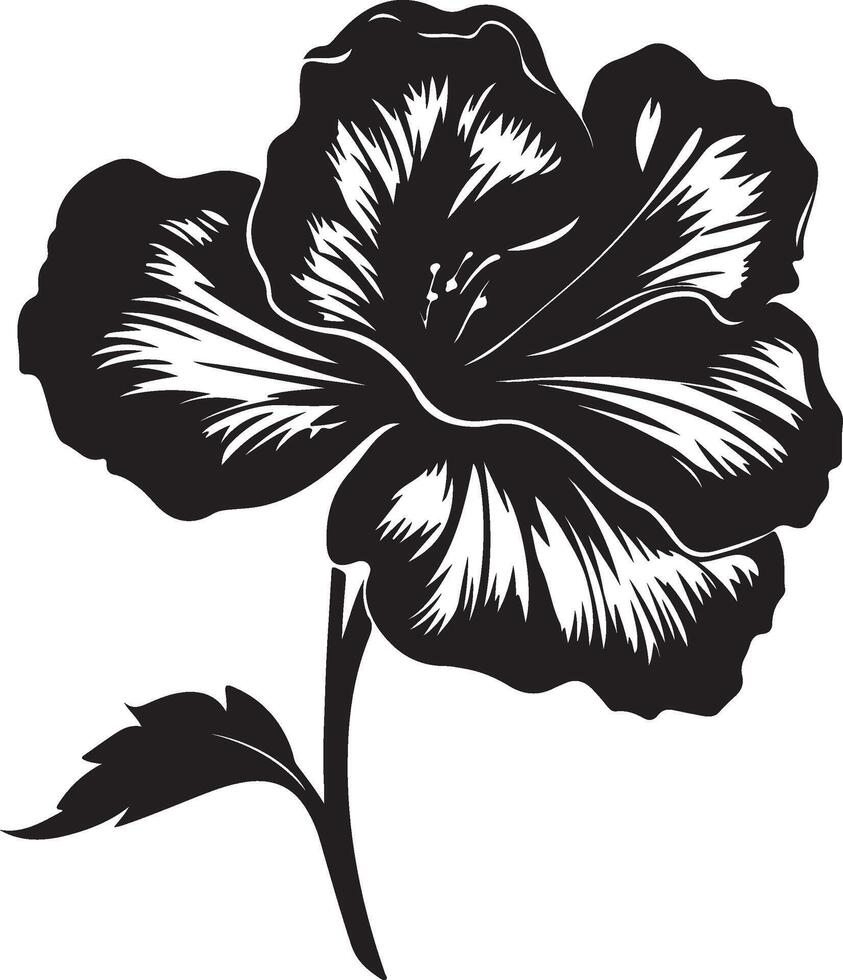 Begonia Flower Silhouette Vector Illustration White Background