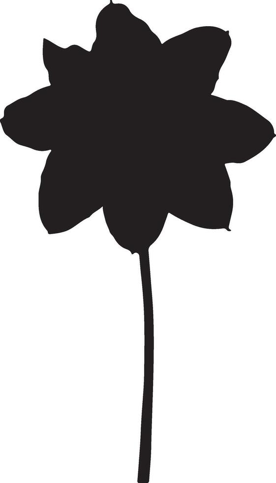 Daffodil Flower Silhouette Vector Illustration White Background