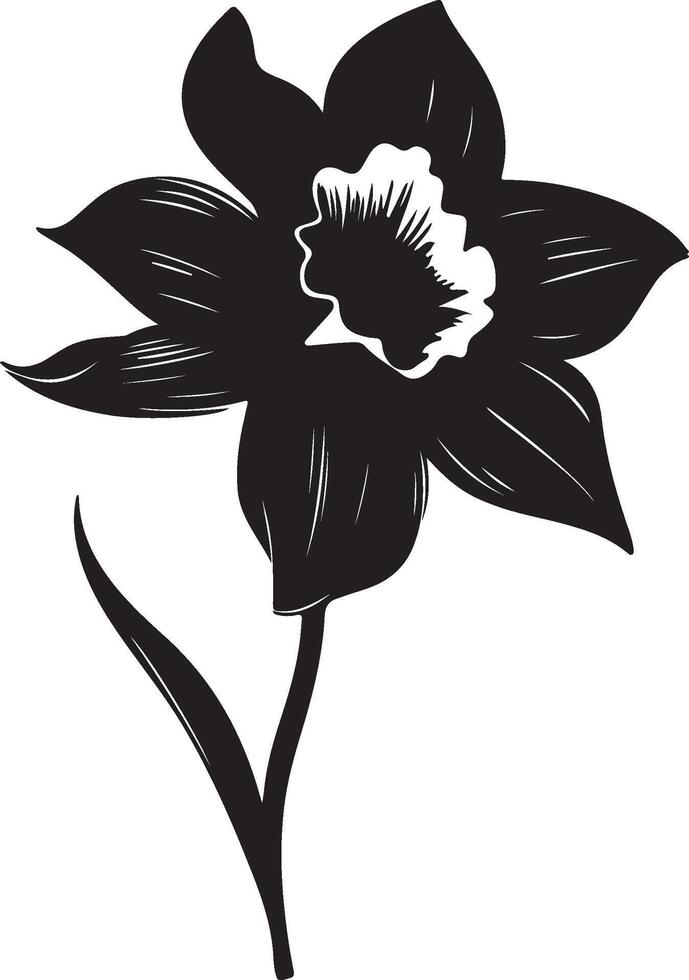 Daffodil Flower Silhouette Vector Illustration White Background