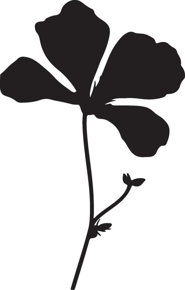 geranio flor silueta vector ilustración blanco antecedentes