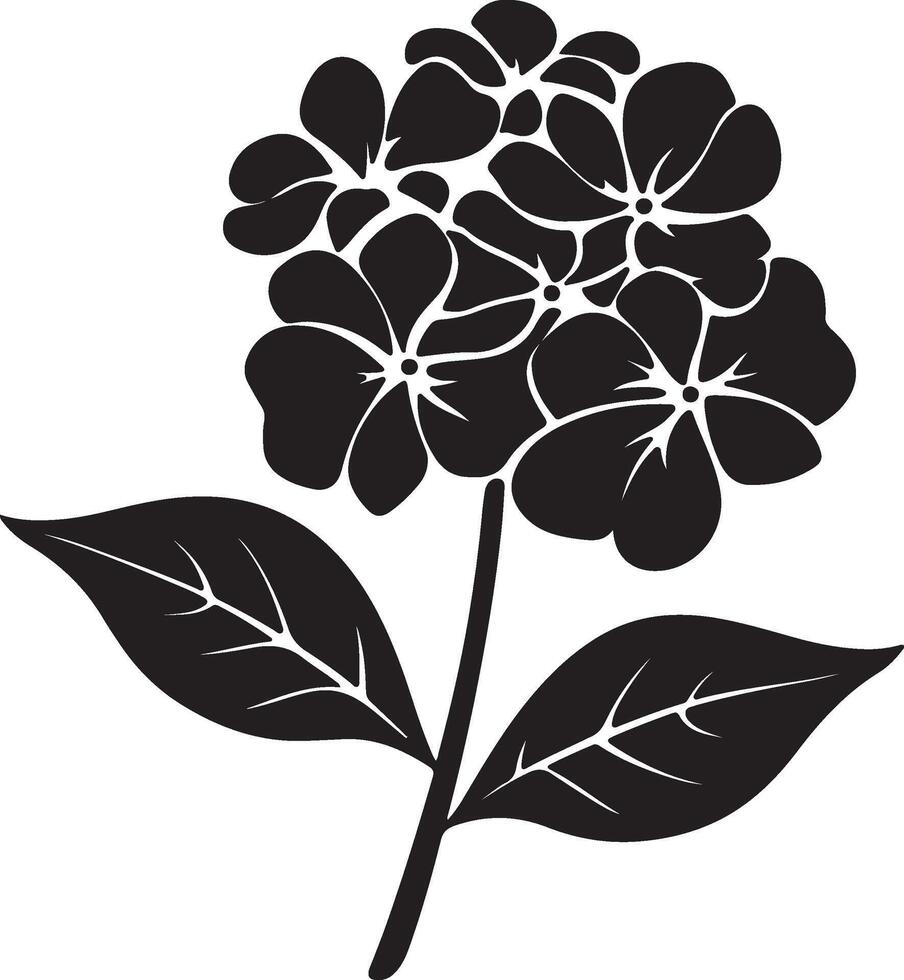 Hydrangea Flower Silhouette Vector Illustration White Background