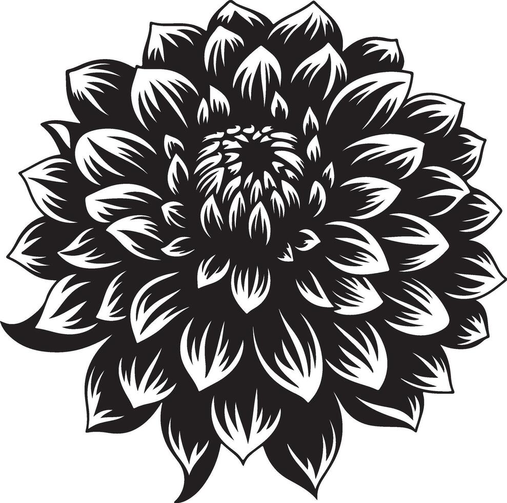 Dahlia Flower Silhouette Vector Illustration White Background