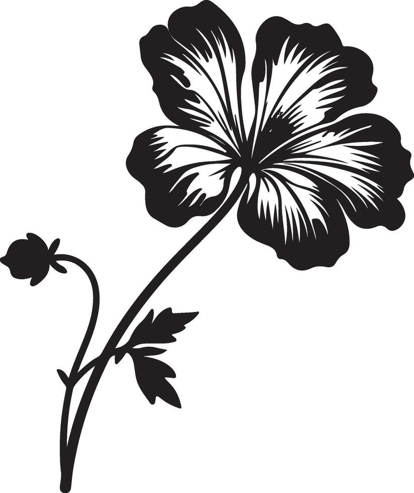 Geranium Flower Silhouette Vector Illustration White Background