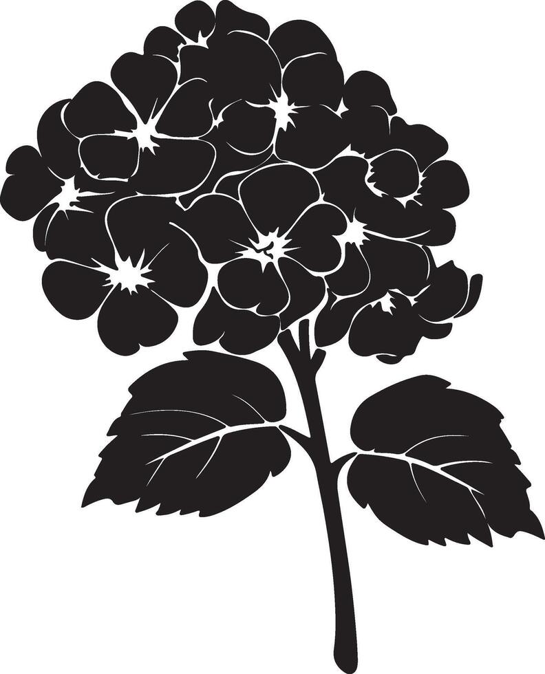 Hydrangea Flower Silhouette Vector Illustration White Background