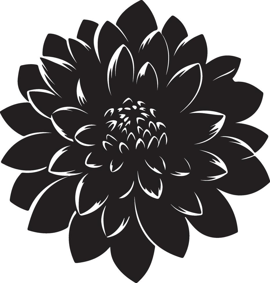 Dahlia Flower Silhouette Vector Illustration White Background