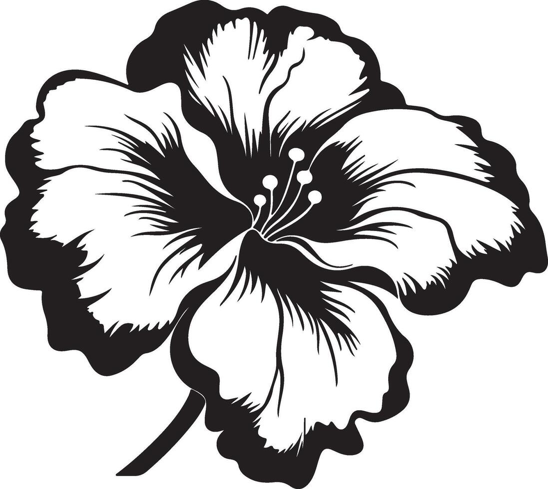 Begonia Flower Silhouette Vector Illustration White Background