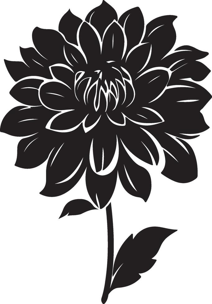 Dahlia Flower Silhouette Vector Illustration White Background