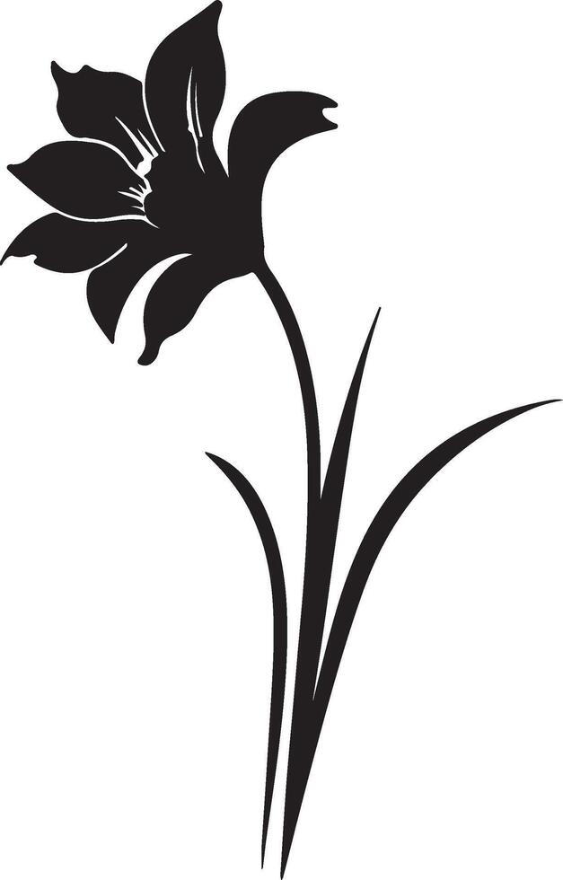 Daffodil Flower Silhouette Vector Illustration White Background