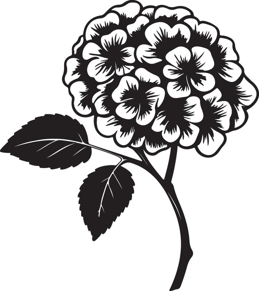 Hydrangea Flower Silhouette Vector Illustration White Background
