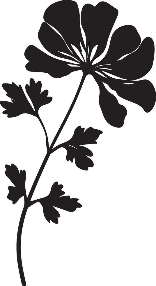 Geranium Flower Silhouette Vector Illustration White Background