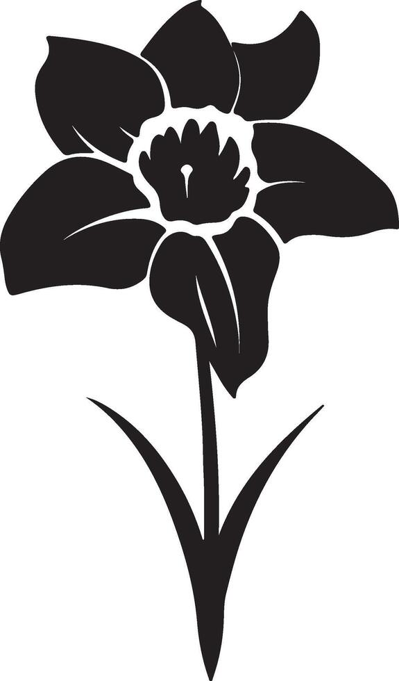 Daffodil Flower Silhouette Vector Illustration White Background
