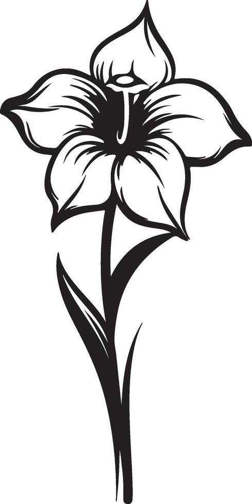 Daffodil Flower Silhouette Vector Illustration White Background