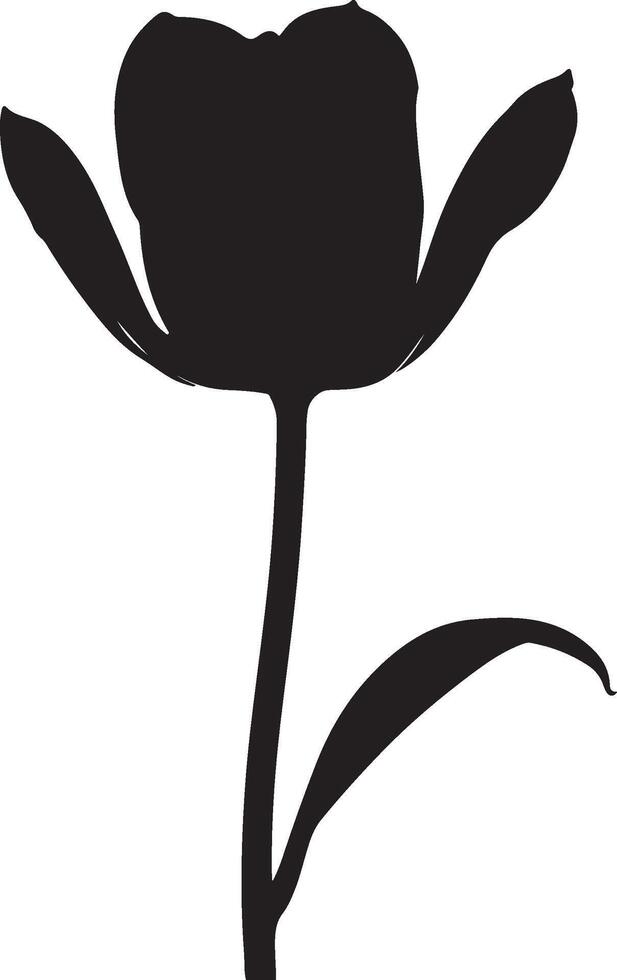 Tulip Flower Silhouette Vector Illustration White Background
