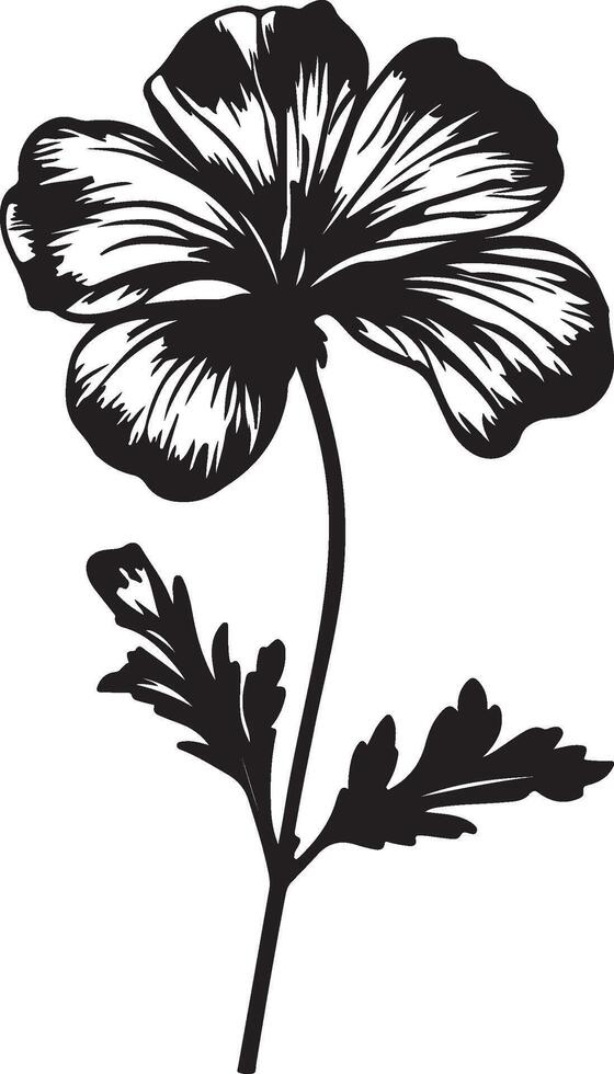 Geranium Flower Silhouette Vector Illustration White Background