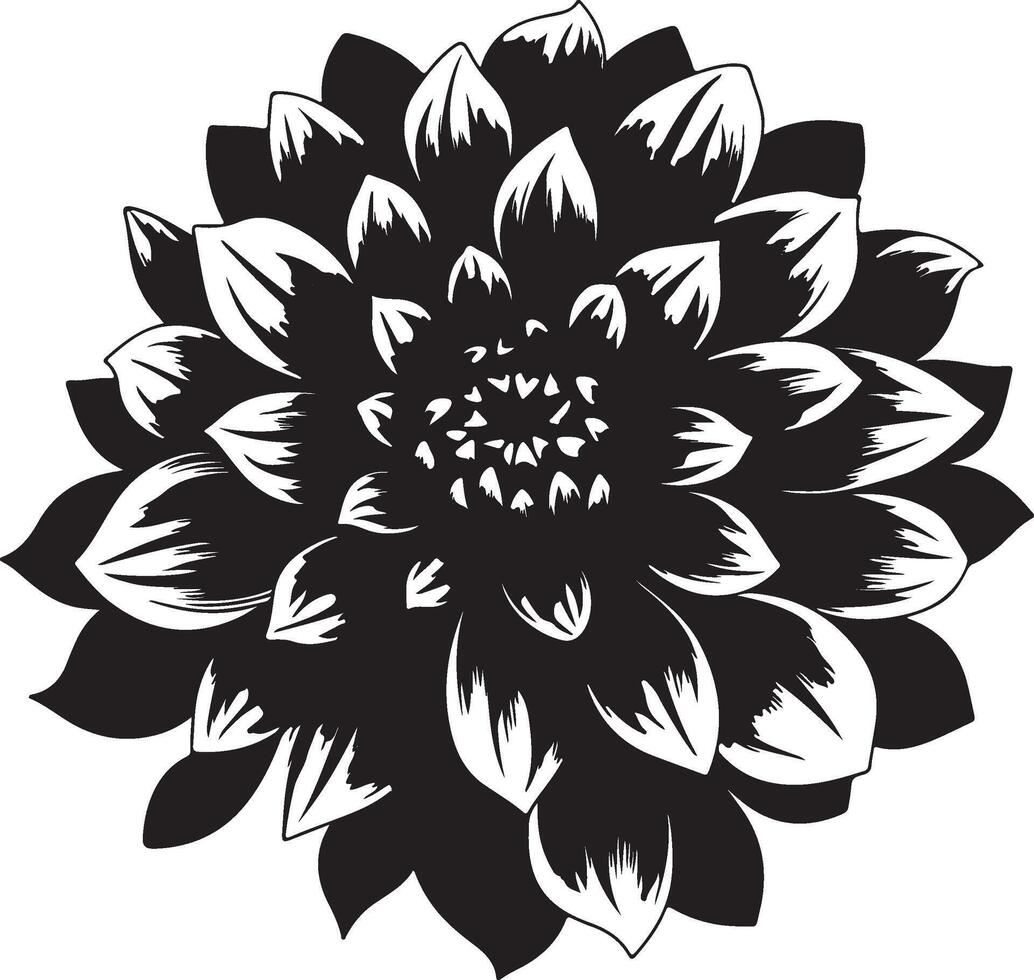 Dahlia Flower Silhouette Vector Illustration White Background