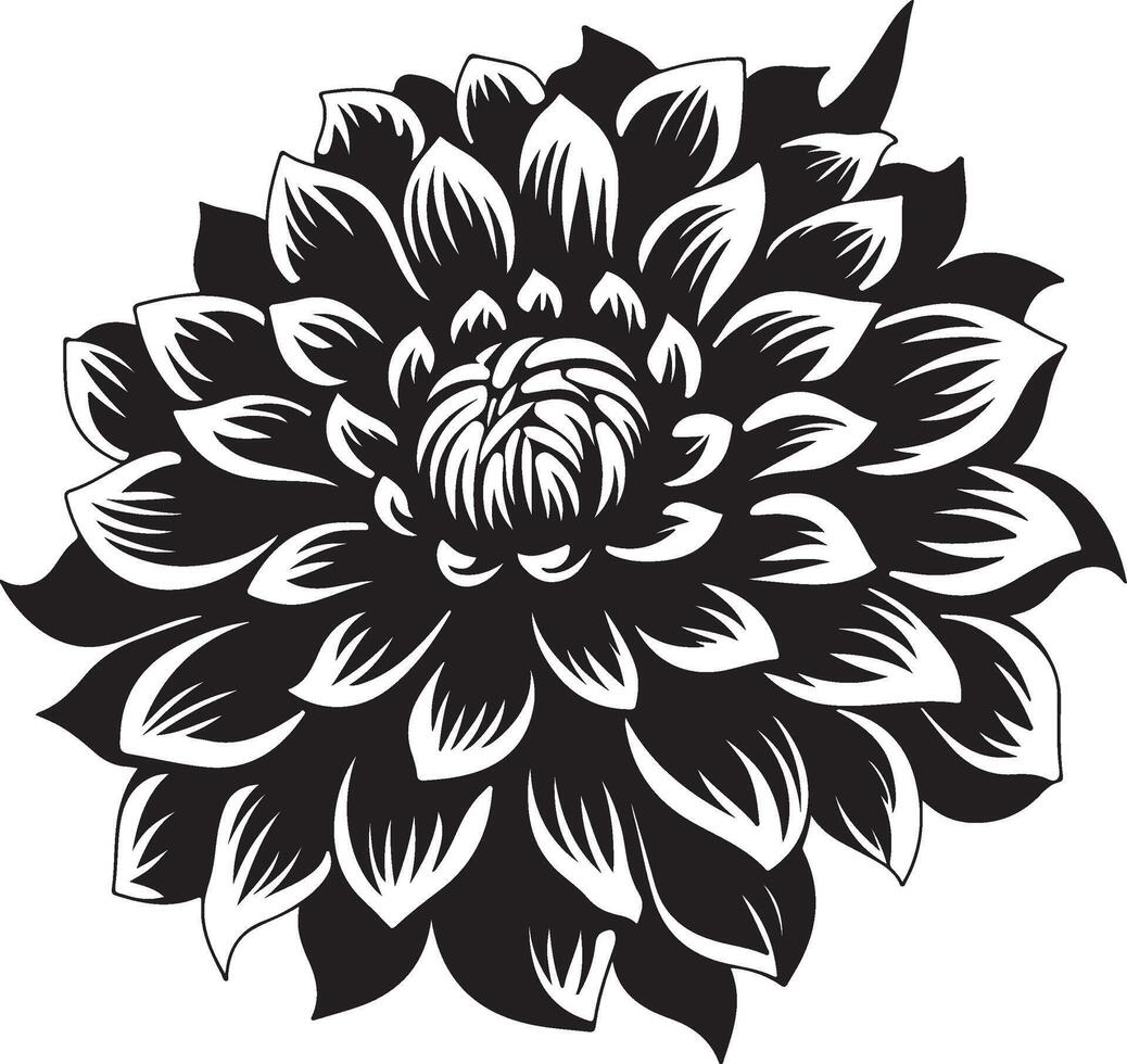 Dahlia Flower Silhouette Vector Illustration White Background