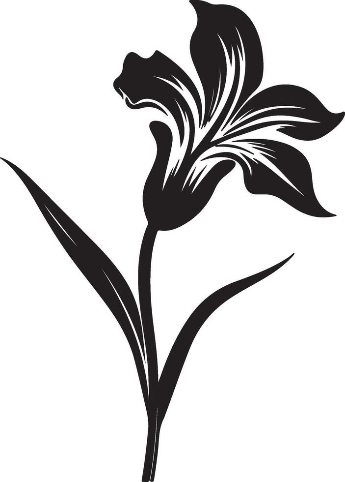 Daffodil Flower Silhouette Vector Illustration White Background