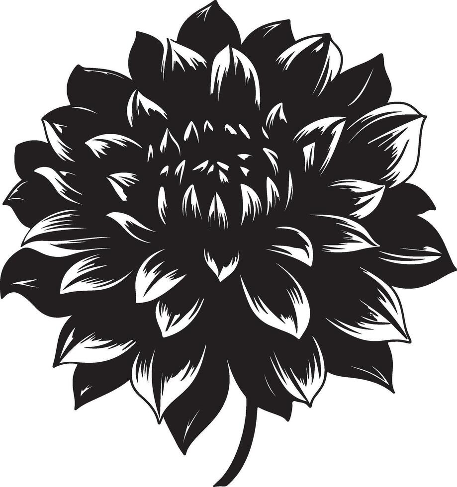 Dahlia Flower Silhouette Vector Illustration White Background