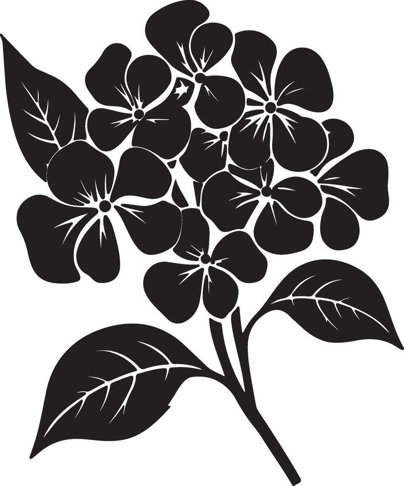 Hydrangea Flower Silhouette Vector Illustration White Background