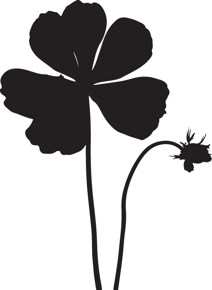 Geranium Flower Silhouette Vector Illustration White Background