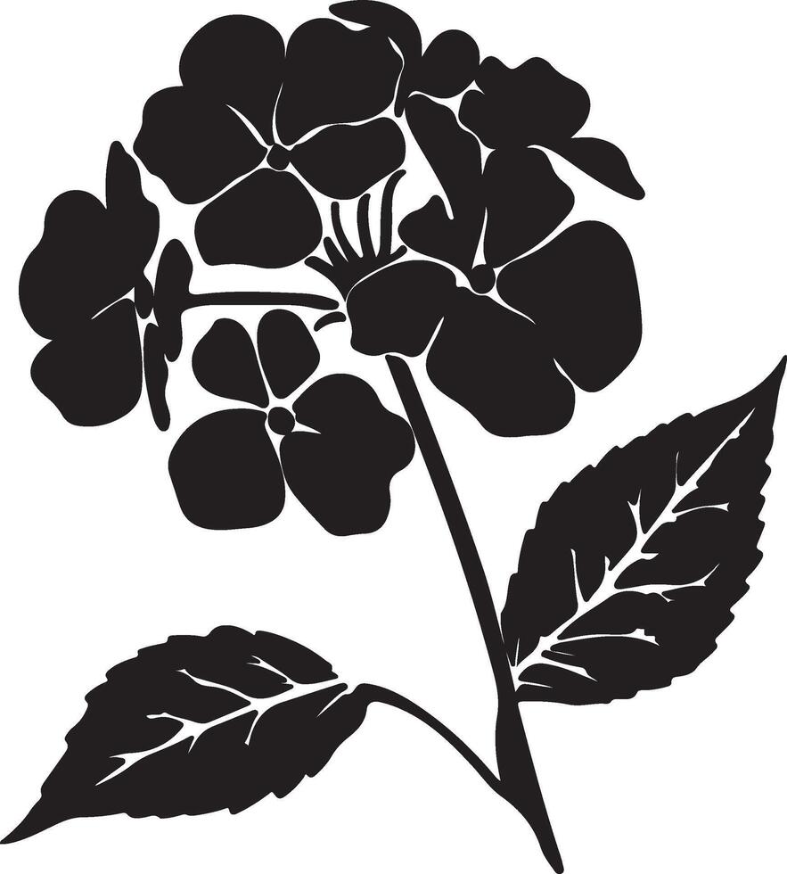 hortensia flor silueta vector ilustración blanco antecedentes