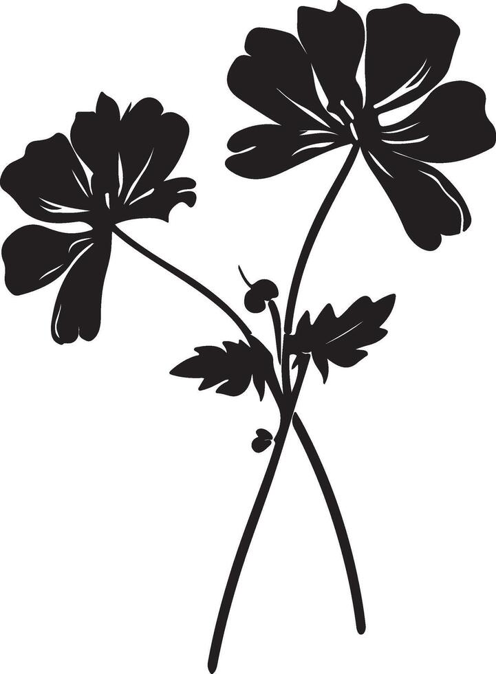 Geranium Flower Silhouette Vector Illustration White Background