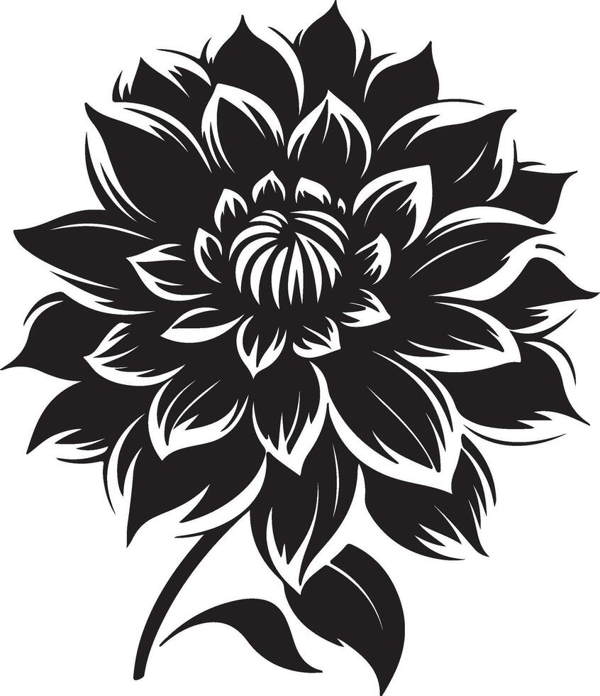 Dahlia Flower Silhouette Vector Illustration White Background