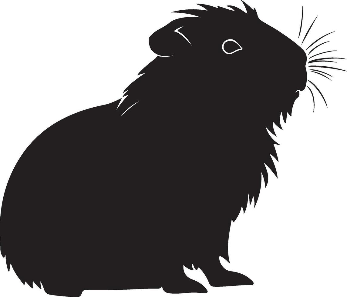 Guinea cerdo silueta vector ilustración blanco antecedentes