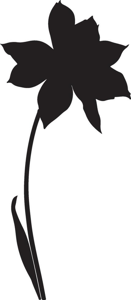 Daffodil Flower Silhouette Vector Illustration White Background