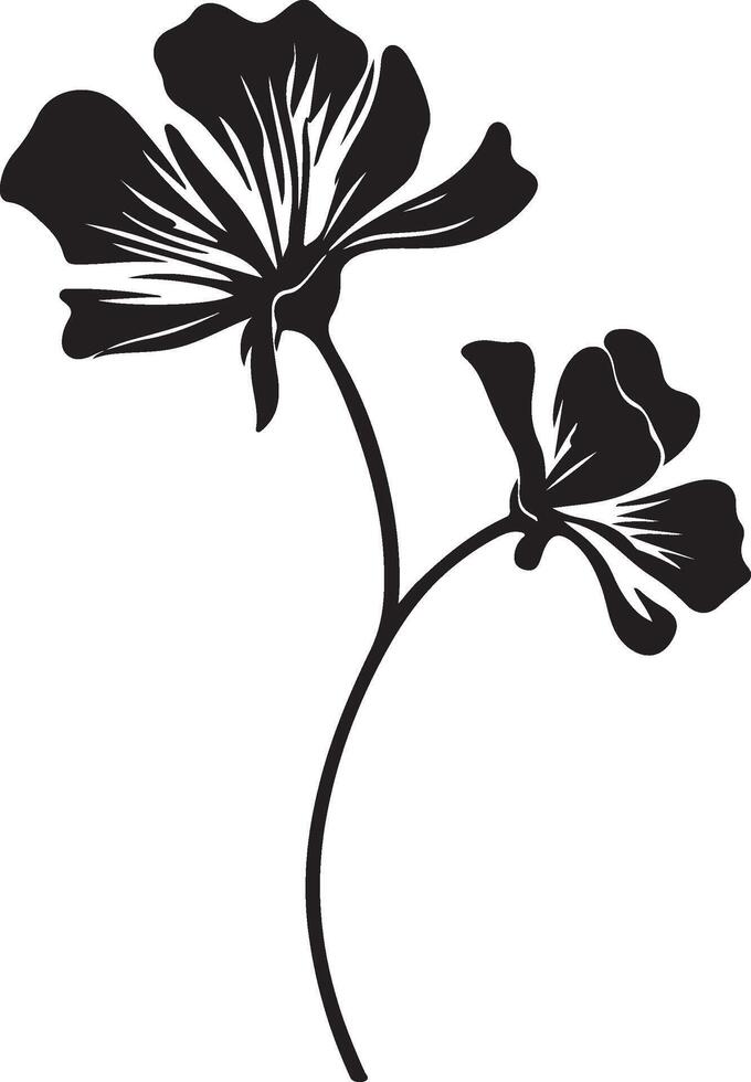 Geranium Flower Silhouette Vector Illustration White Background