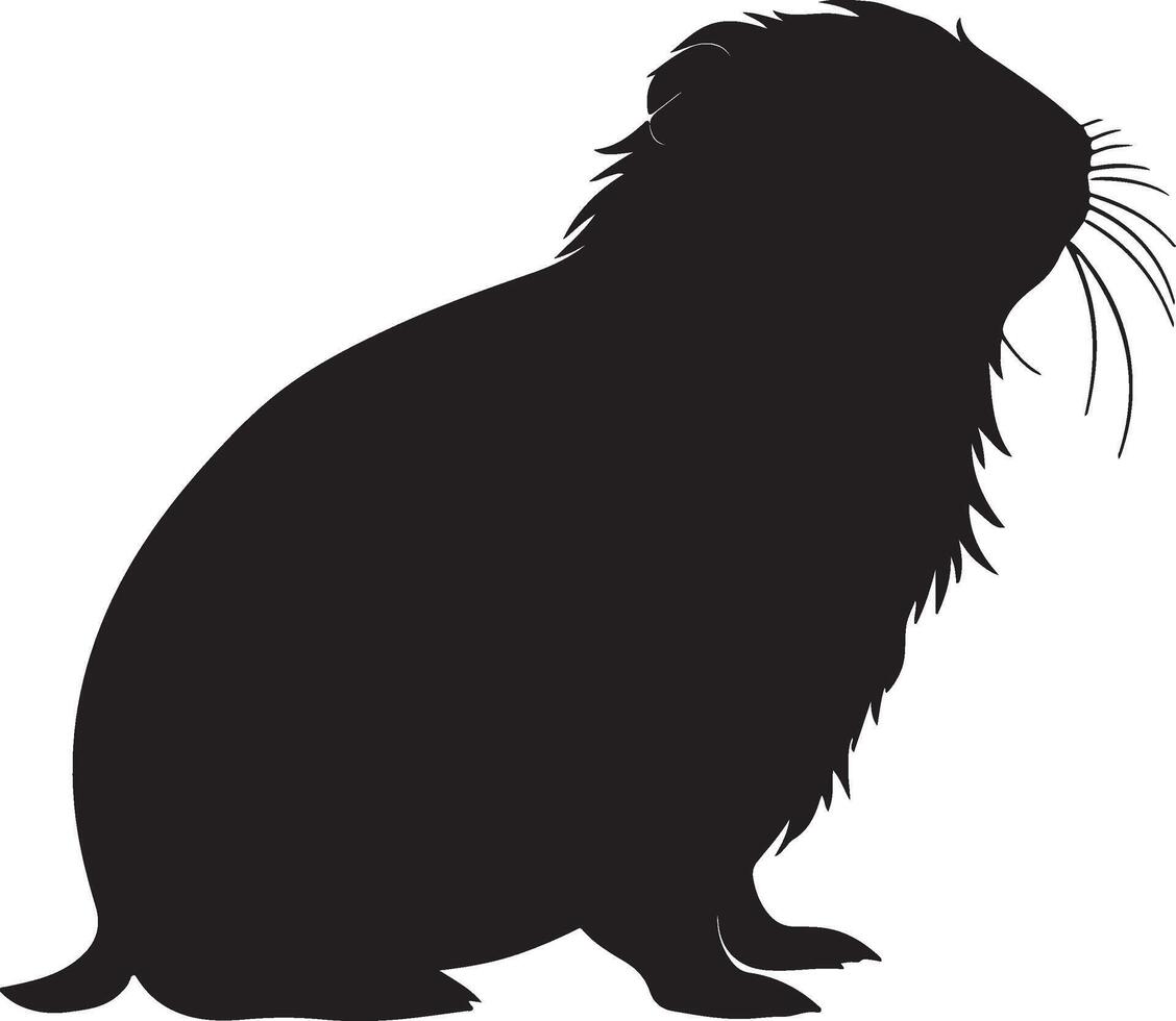 Guinea Pig Silhouette Vector Illustration White Background