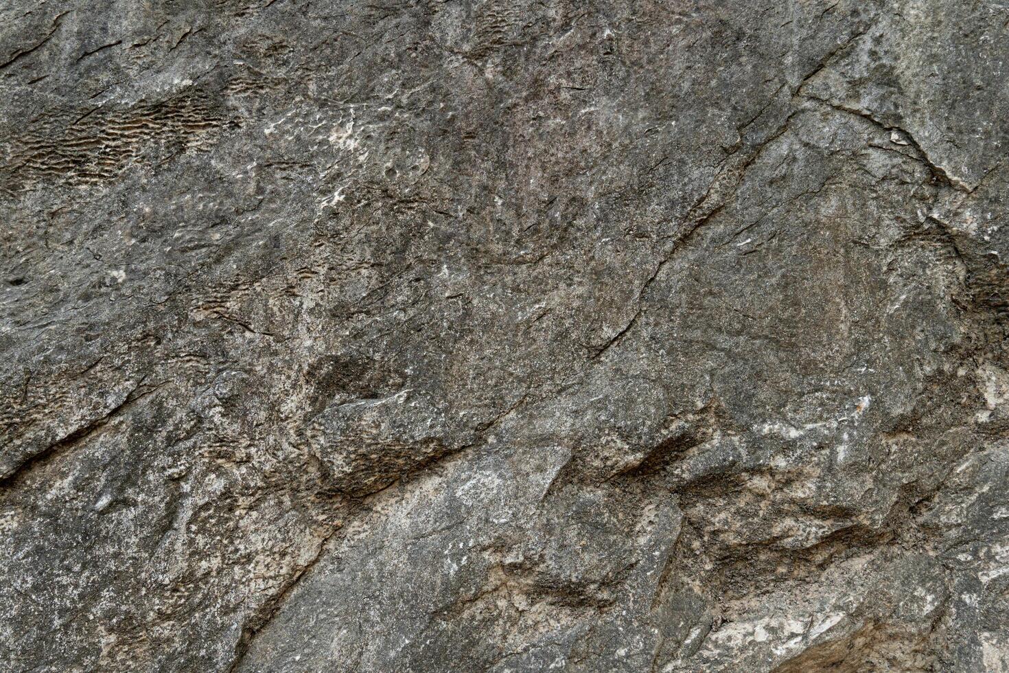 Stone floor has a unique rough surface and dark color. For background and textured. photo