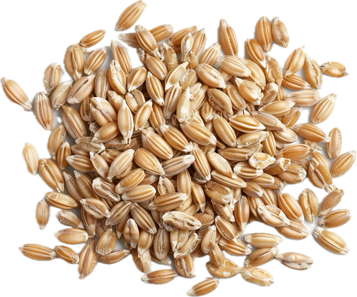 AI generated Heap of Salted Roasted Wheat Grains png