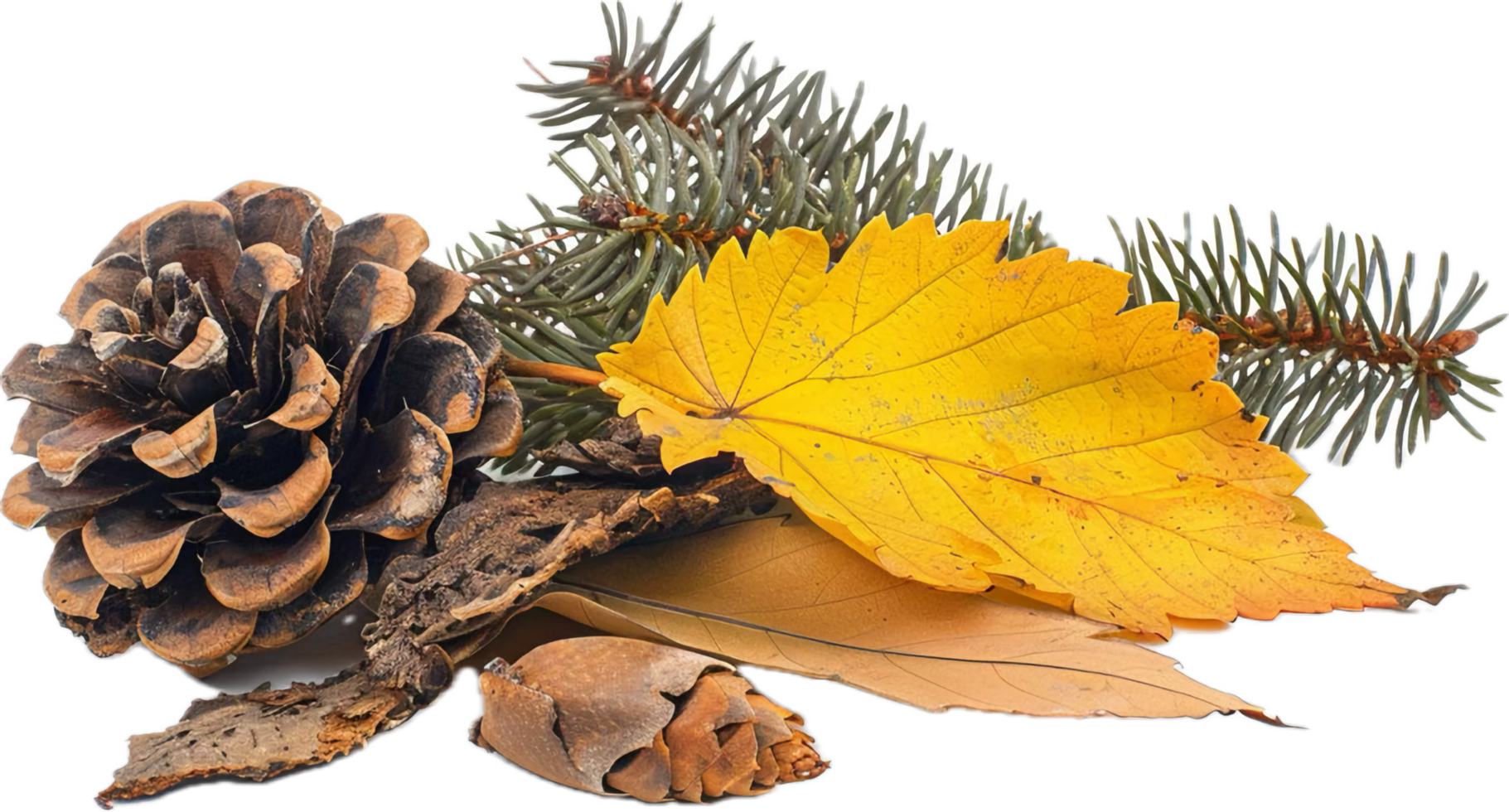 AI generated Autumn Composition with Pine Cones and Leaves png