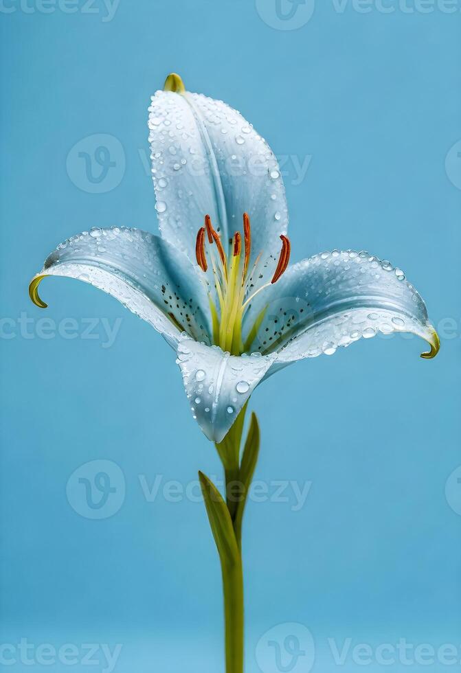 AI generated a single blue lily with water droplets on it photo