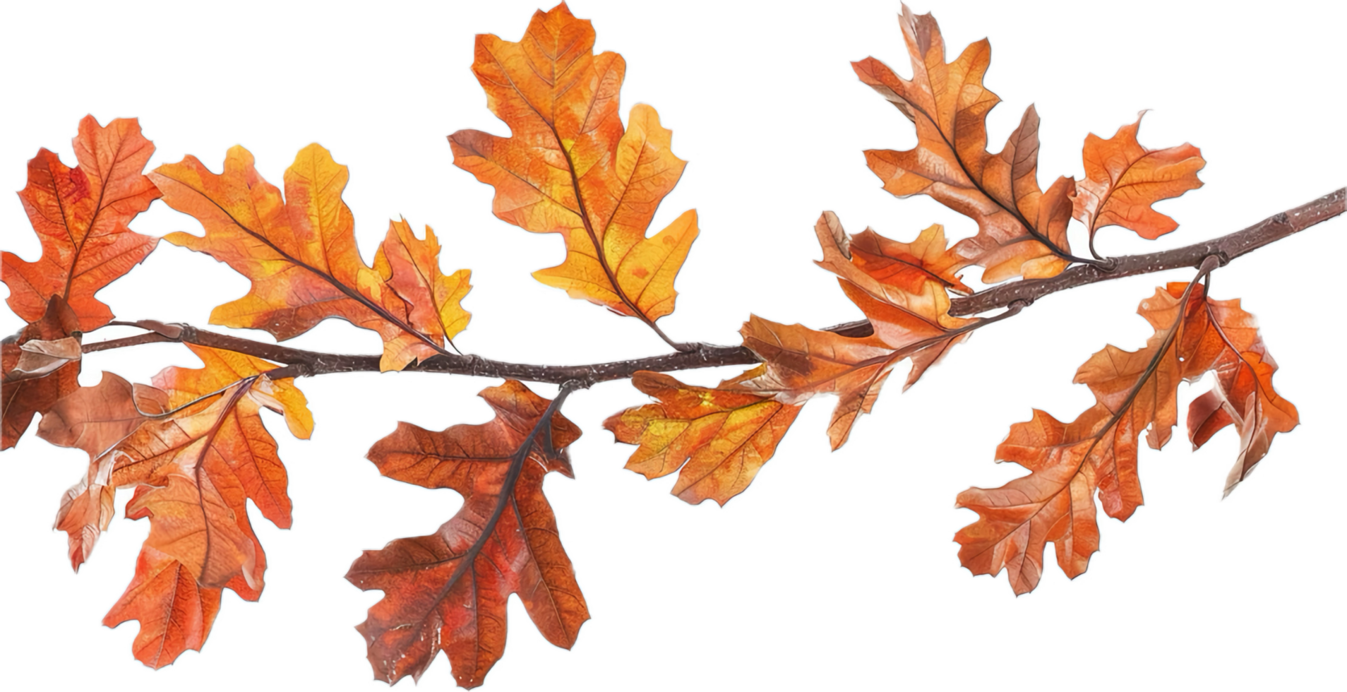 AI generated Autumn Oak Leaves Branch png