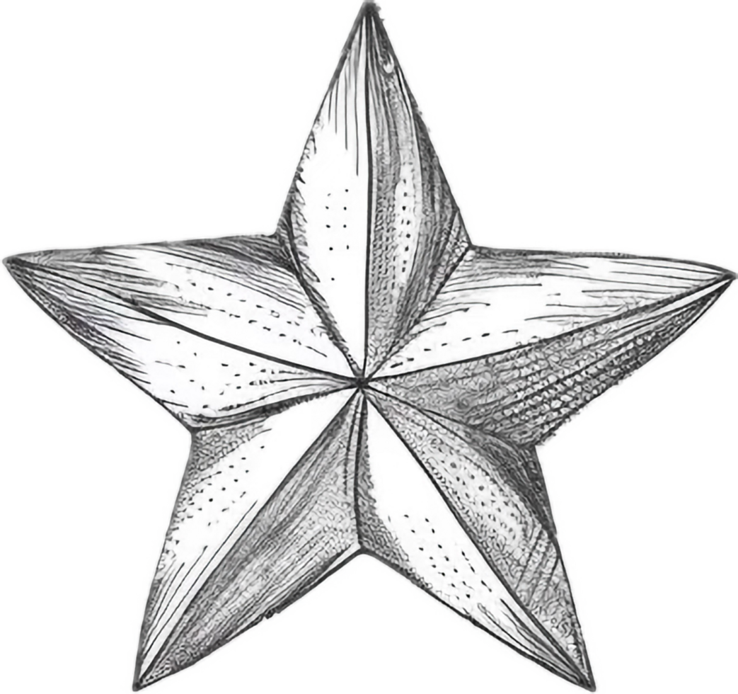AI generated Monochrome Sketch of Starfish png