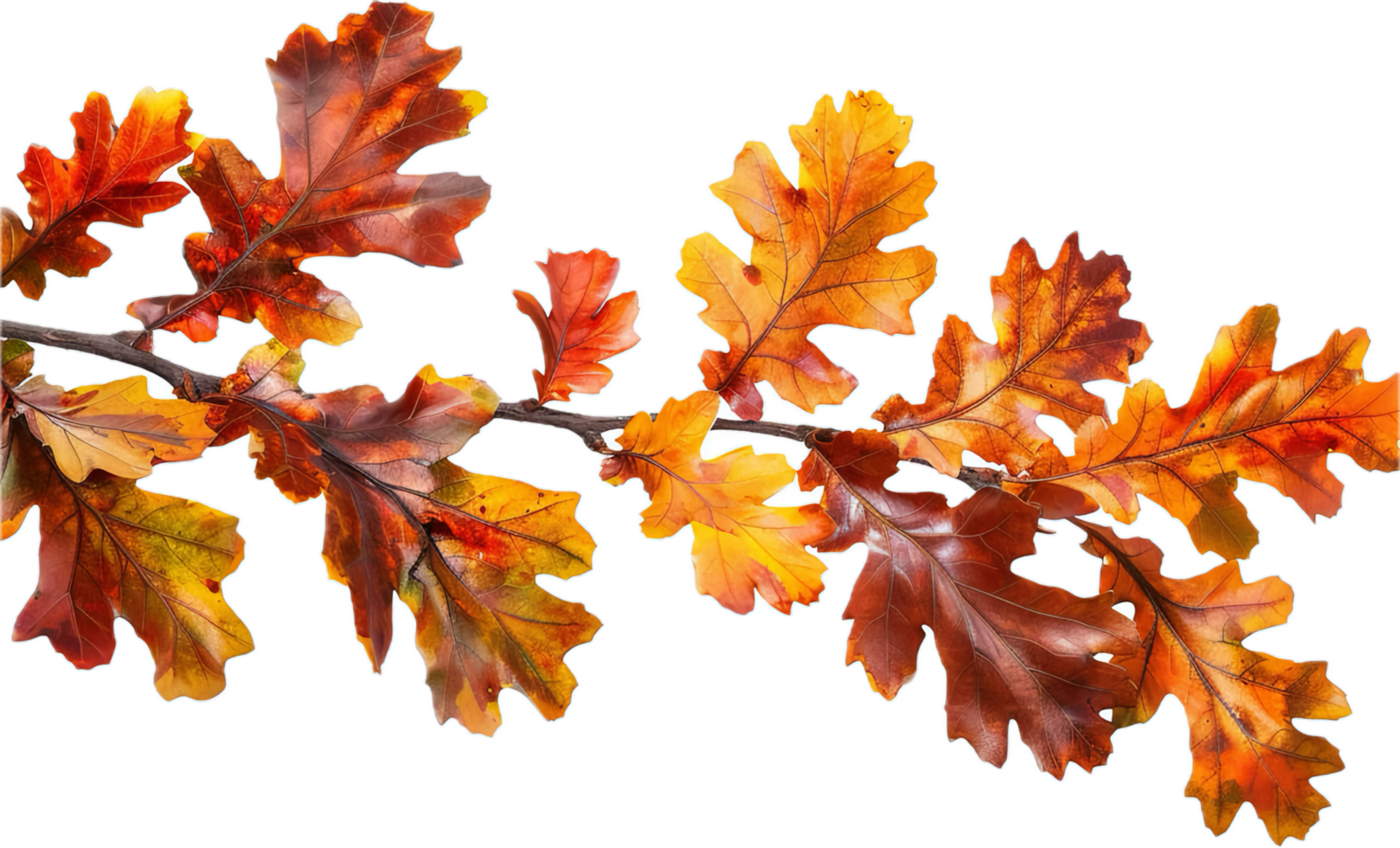 AI generated Autumn Oak Leaves Branch png
