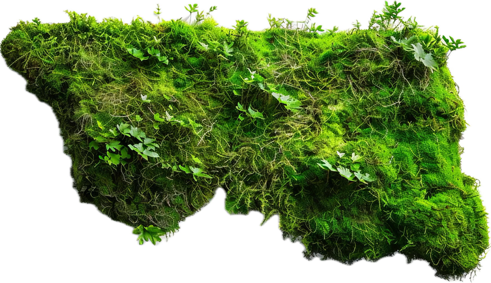 ai genererad moss-täckt stenar och vegetation png