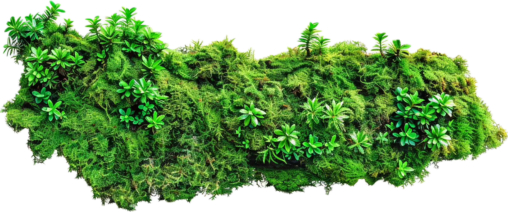 AI generated Moss-Covered Rocks and Vegetation png