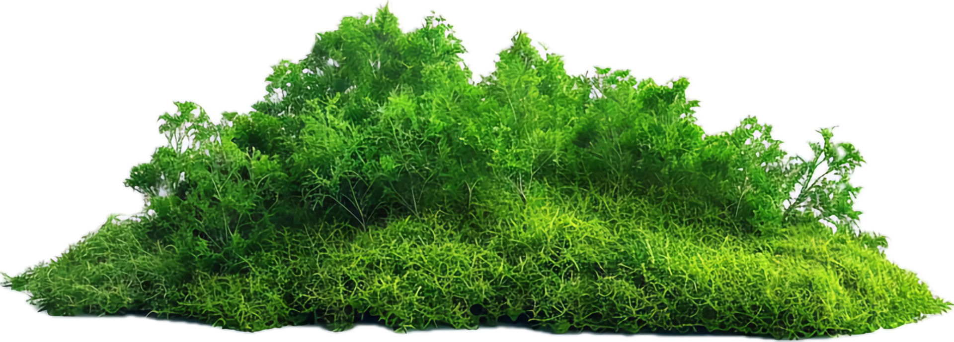 AI generated Moss-Covered Rocks and Vegetation png