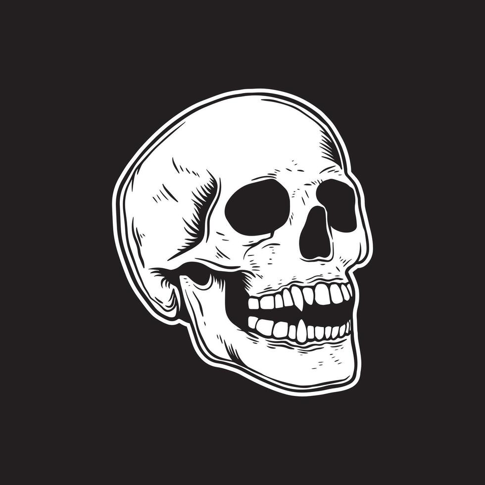 Skull art black and white hand drawn illustrations vector