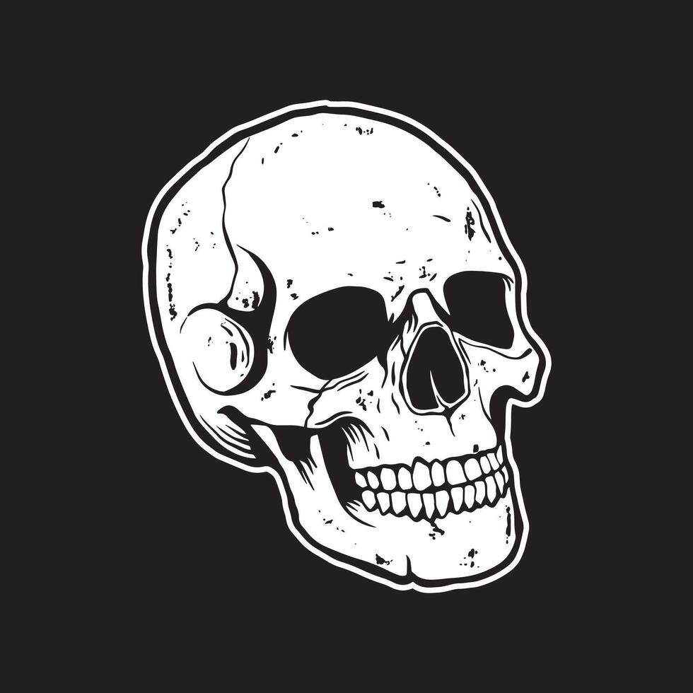 Skull art black and white hand drawn illustrations vector